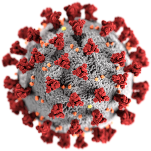 corona virus and natural immunity